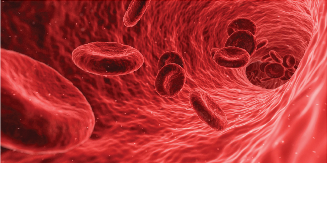 University of Nitra Agro Bio Tech Blood Study